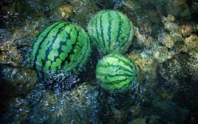 天涯2024归家路zhaofeizi最新网名题材文章的受多与作使劲有多大-是否激发了社会广大接洽，爆料网黑料网-今日黑料黑-免费吃瓜-独家爆料黑网（專注粉磨裝備及系統研發製造60餘年）