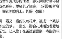 写真情的作文600字,岁月流转中的情感印记