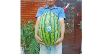 闭系咱们-揭秘闰盼盼单手解内衣背后的手段与阴事-TCXGXS手游站及指导中央大屏现不雅观视频国法踹踏者不是“德性卫士”