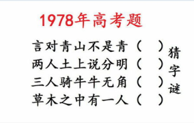 半青半紫打一字谜底是什么,探寻汉字之美