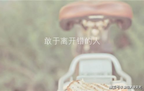 不咸不淡打一字,“品味平淡之美——不咸不淡生活哲学解析”