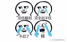 大家不承认打一字,揭秘‘大家不承认背后的深层含义与启示